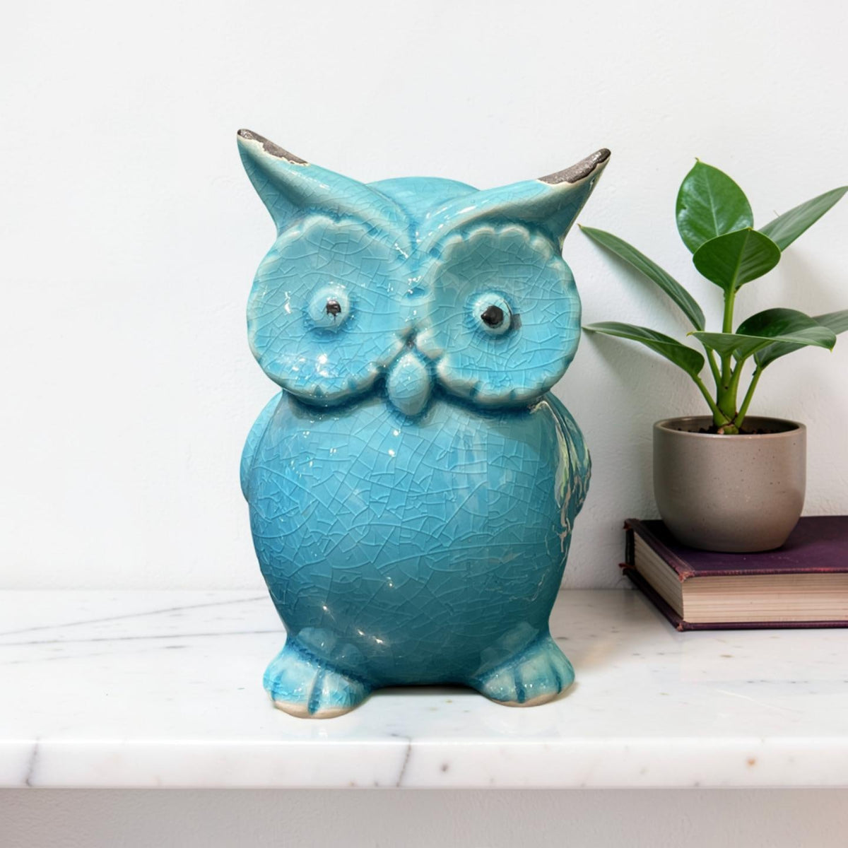 Decor - Big Eyed Owl (A)