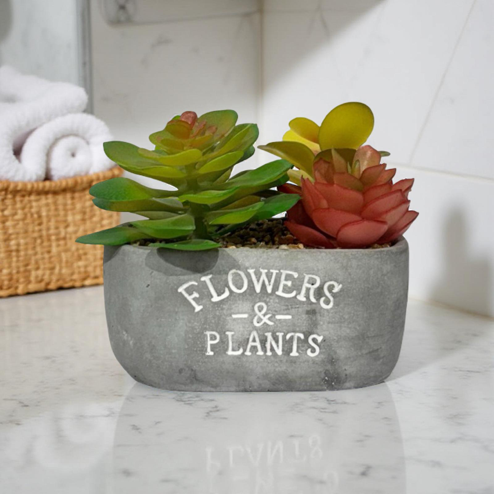 Planter - Grey Flower Succulent (B)