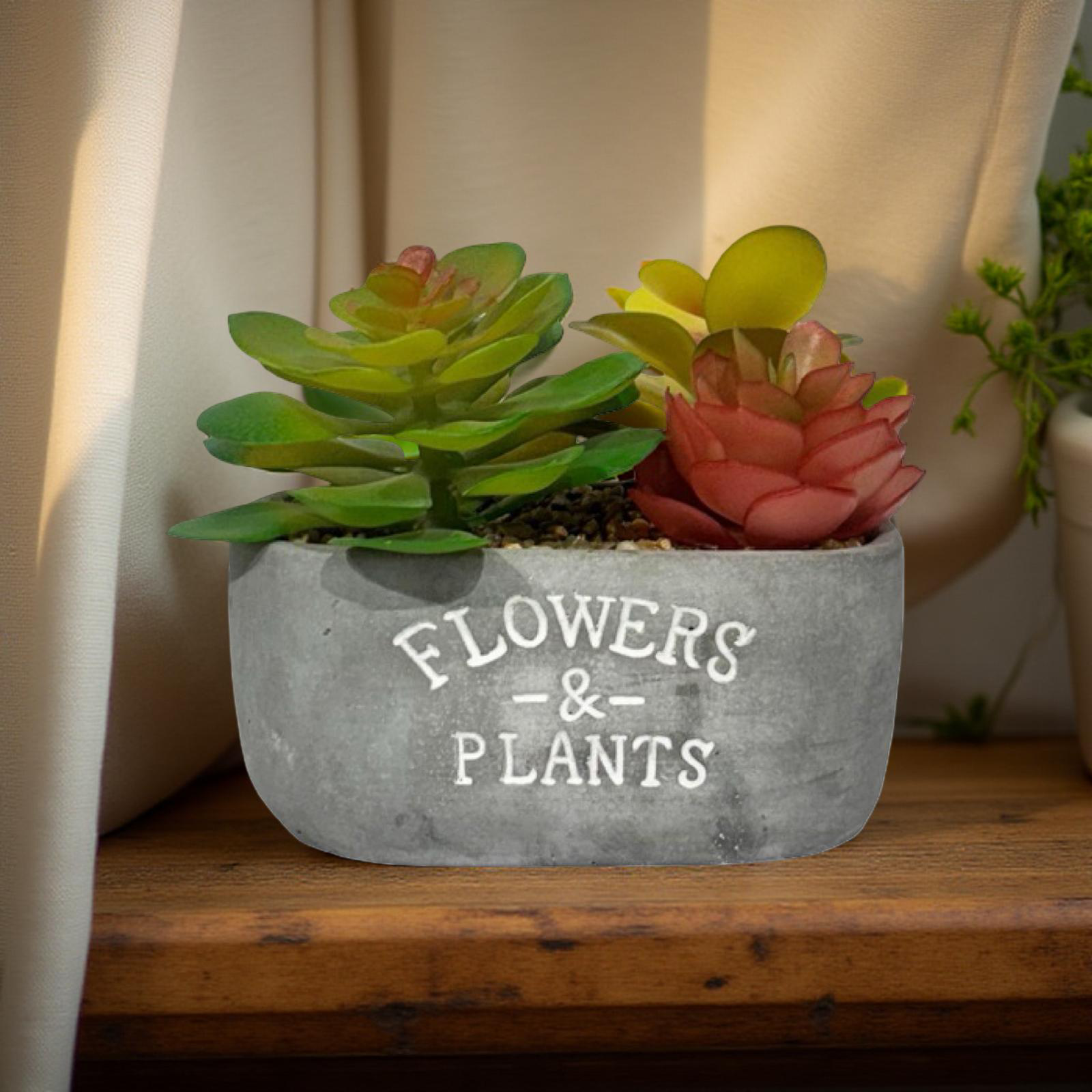 Planter - Grey Flower Succulent (B)