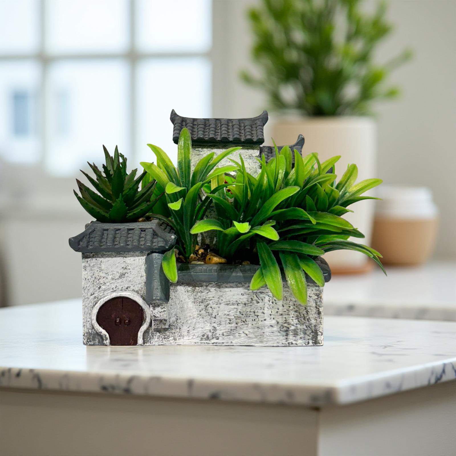 Planter - Cute Home Succulent (C)