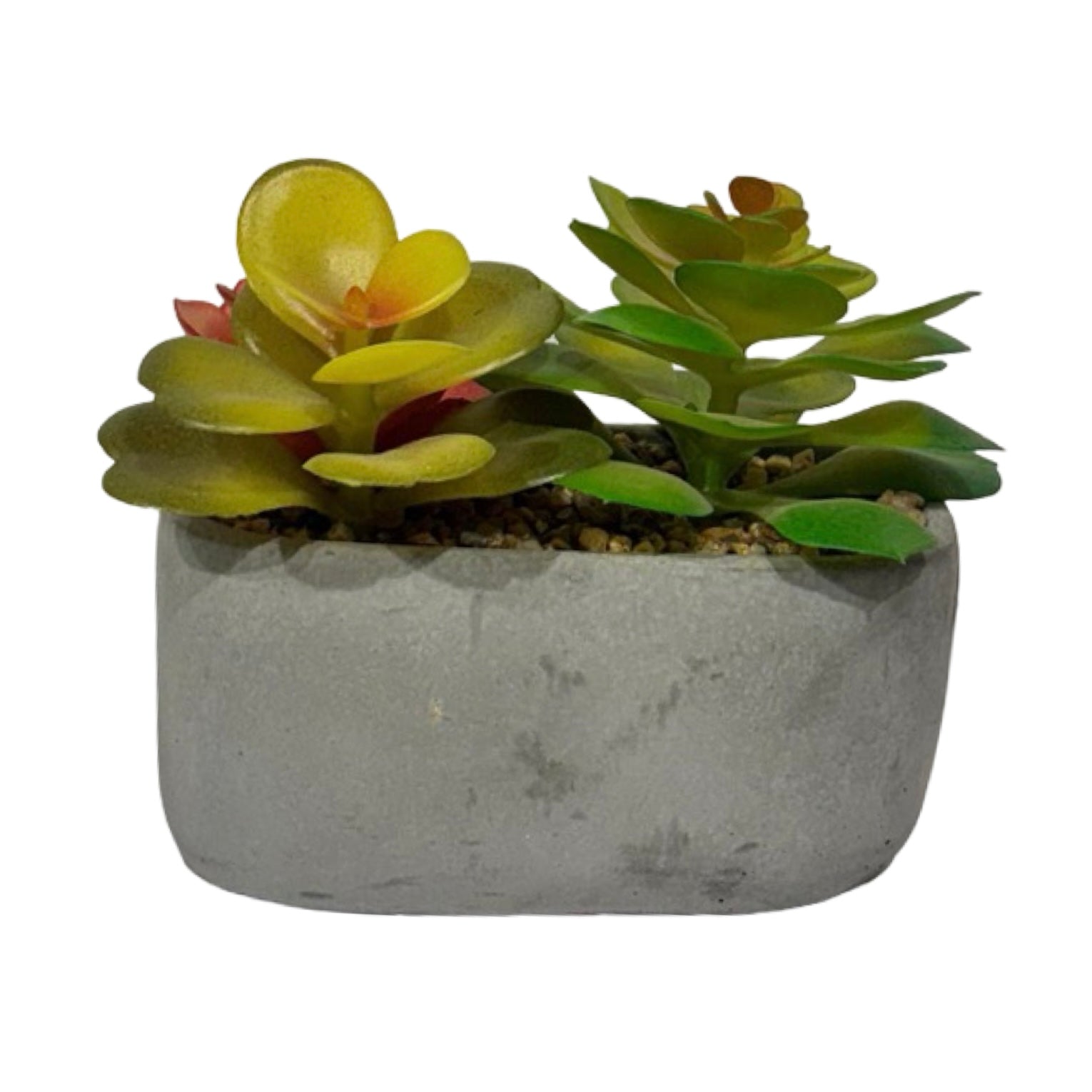 Planter - Grey Flower Succulent (B)