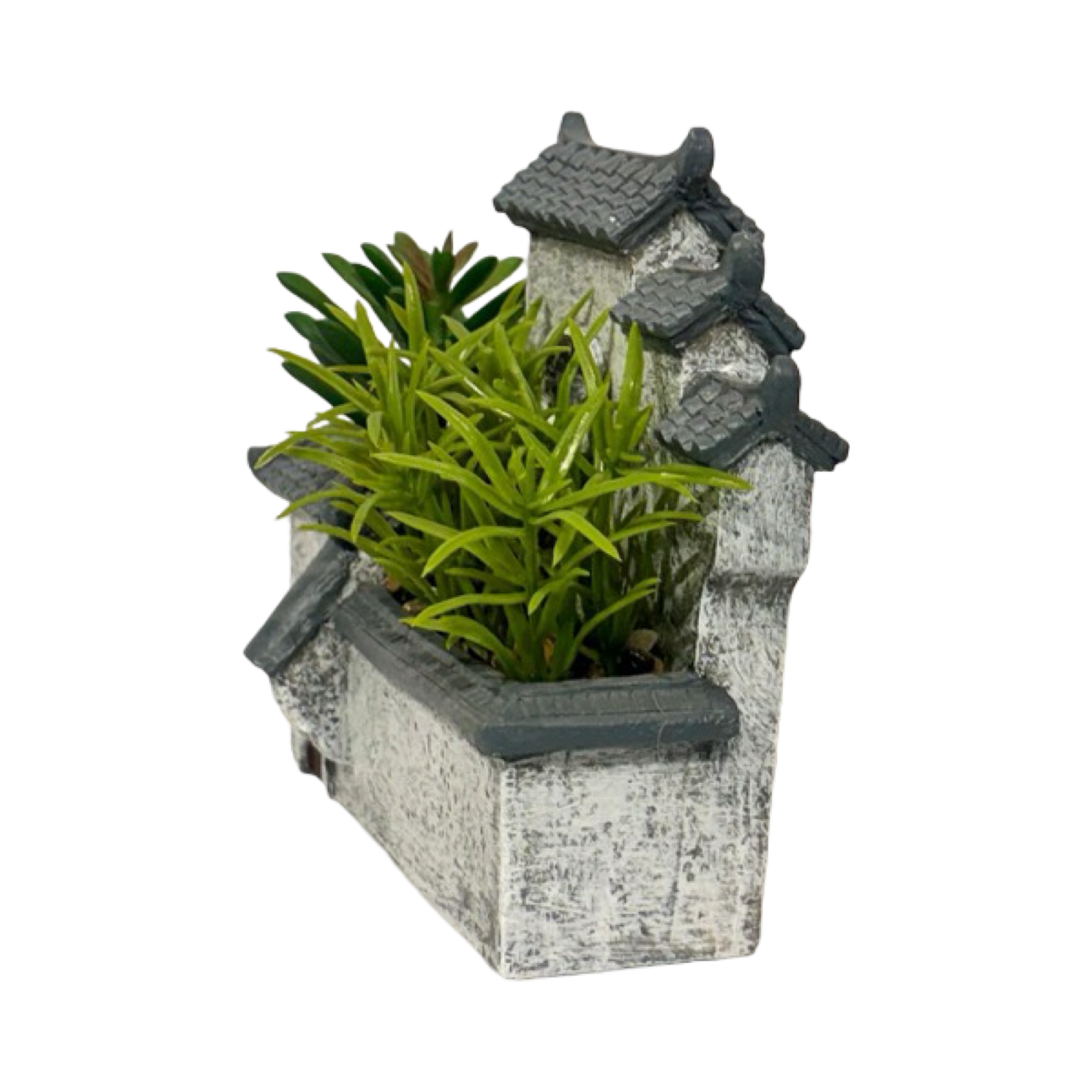 Planter - Cute Home Succulent (A)