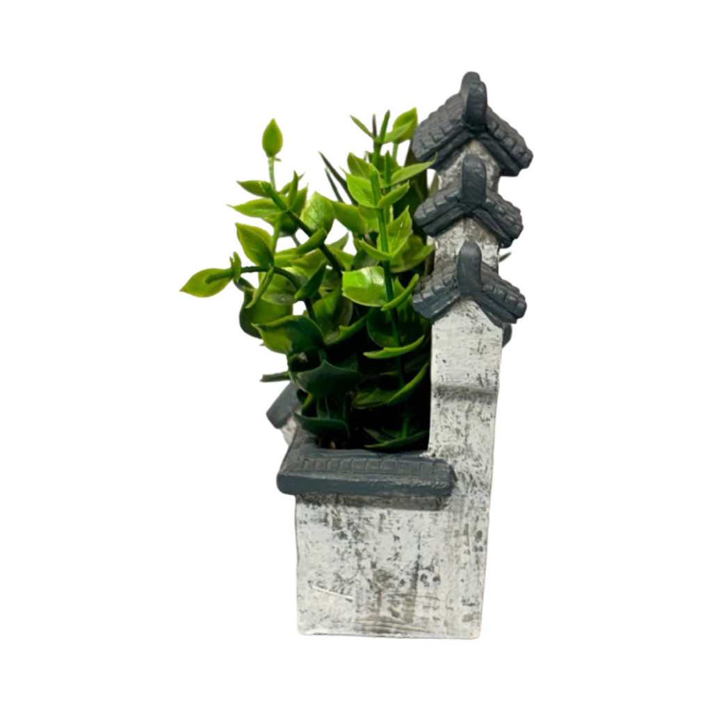 Planter - Cute Home Succulent (D)