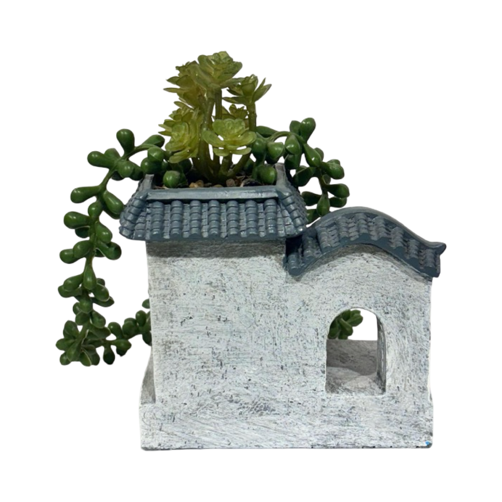 Planter - Cute Home Succulent (B)