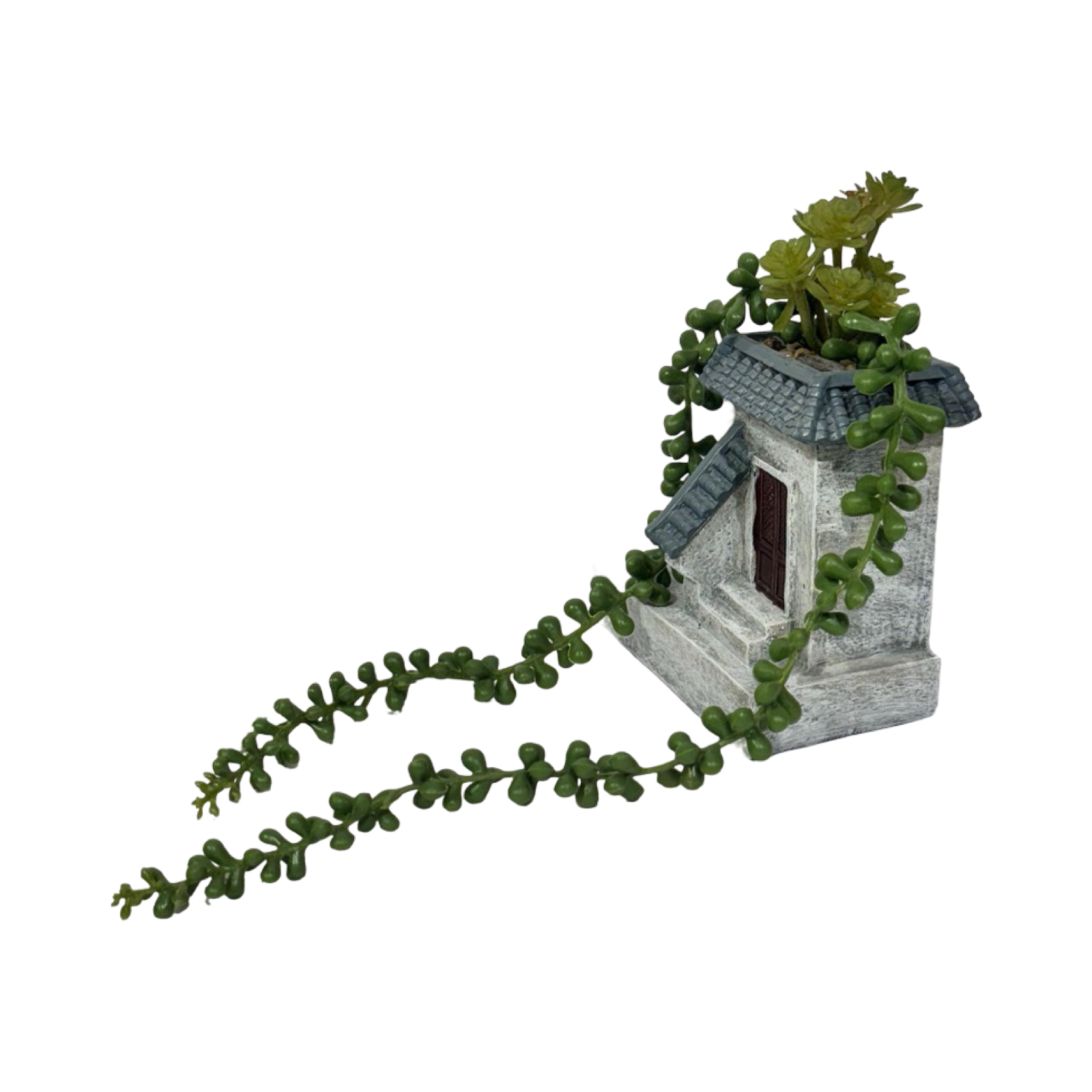 Planter - Cute Home Succulent (B)