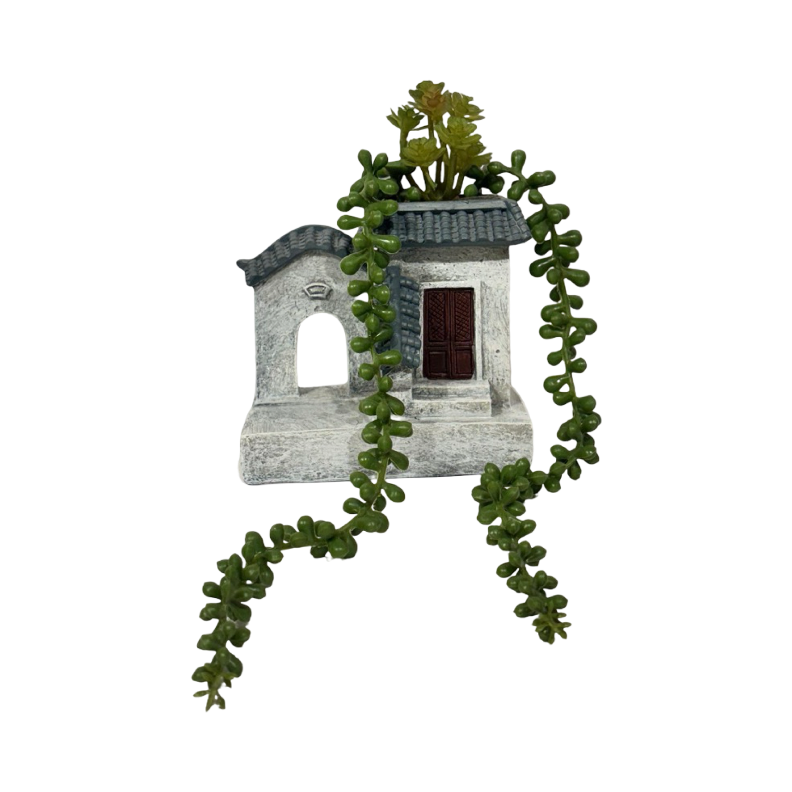 Planter - Cute Home Succulent (B)