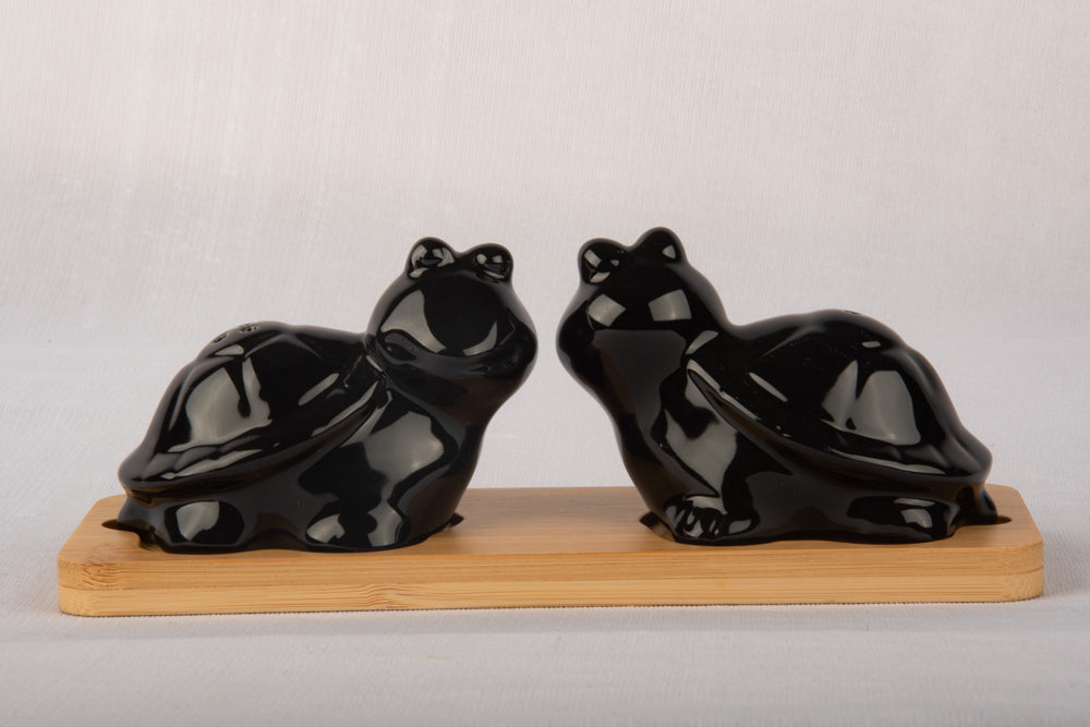 Turtle Salt Pepper Set