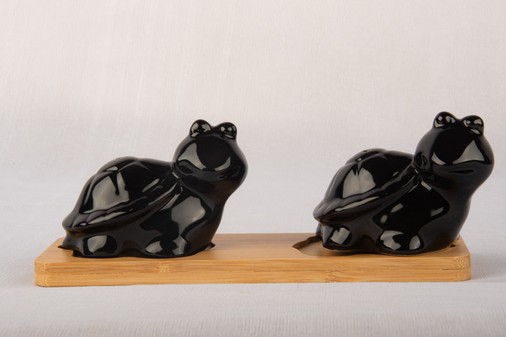 Turtle Salt Pepper Set