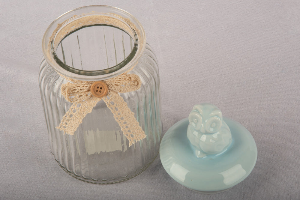 Blue Owl Glass Jar - Large
