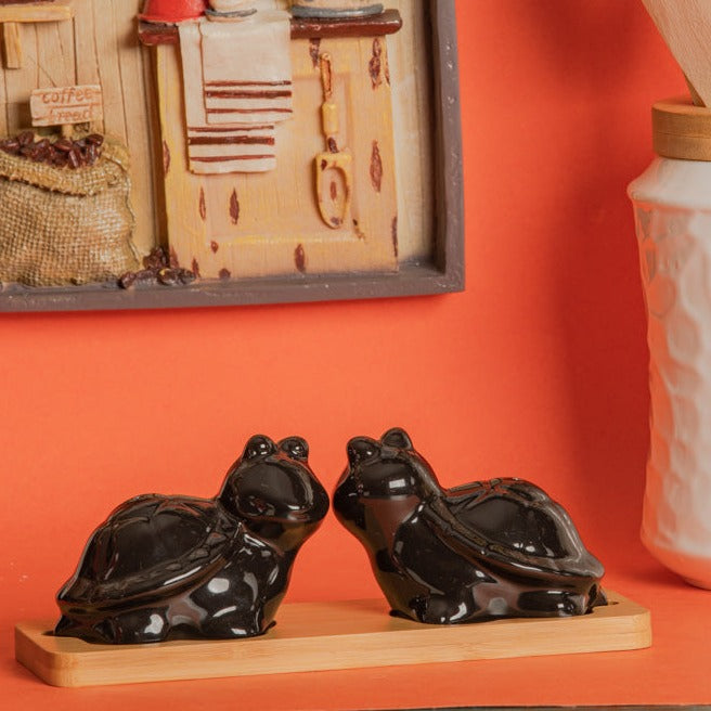 Turtle Salt Pepper Set