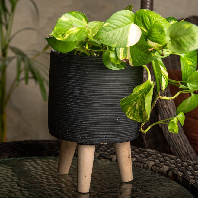 Round Black Clay Planter - Large